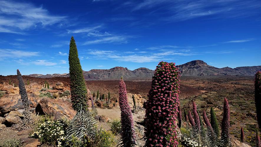 20-teide nationalpark-03